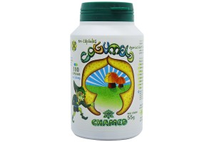 Cogumelo 100 Cápsulas - Chamed